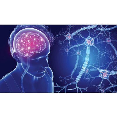Ручка AI точно диагностирует раннюю стадию болезни Паркинсона с помощью анализа почерка